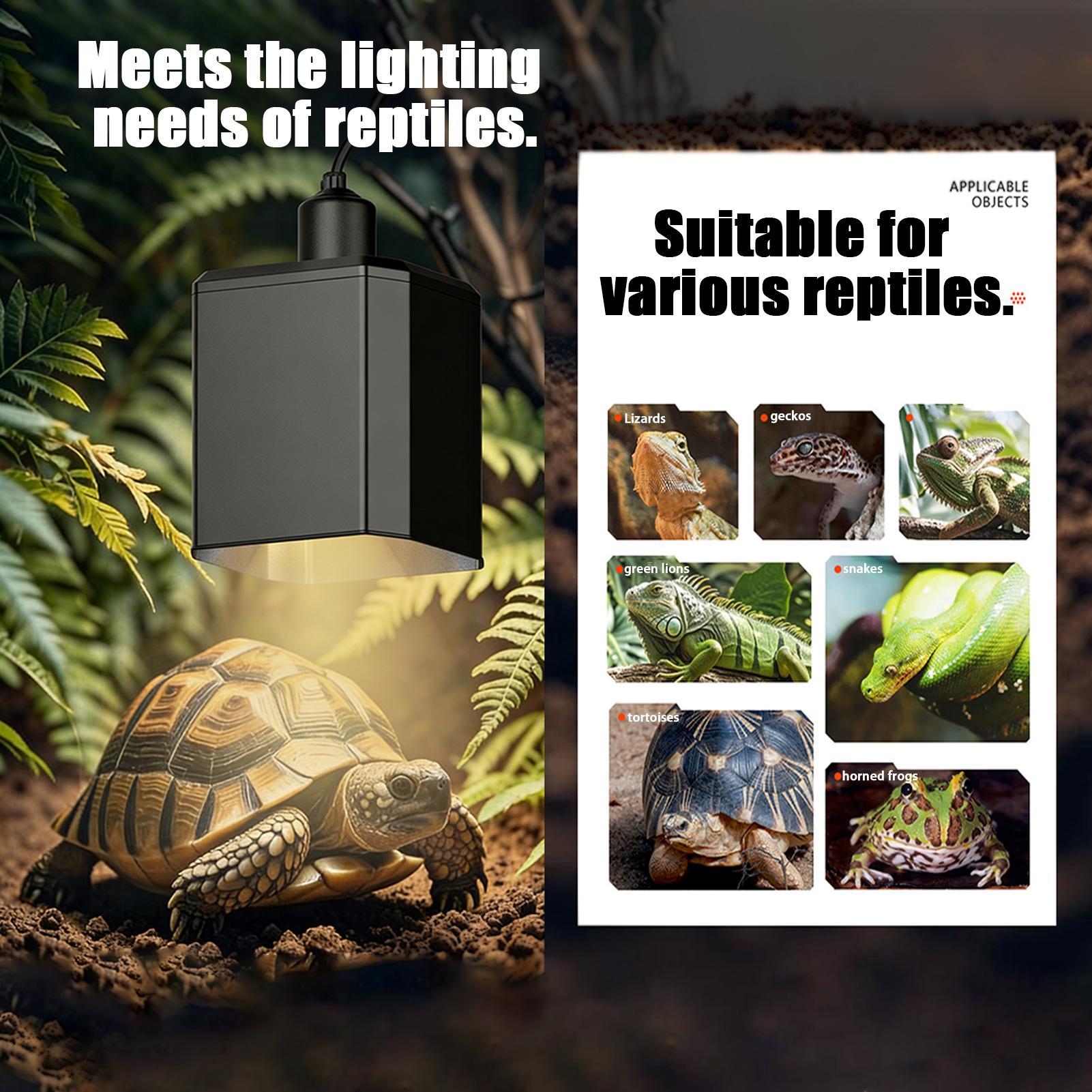 Penutup Lampu Panas Untuk Rept - Gecko Lighting & Decor ulasan dan harga